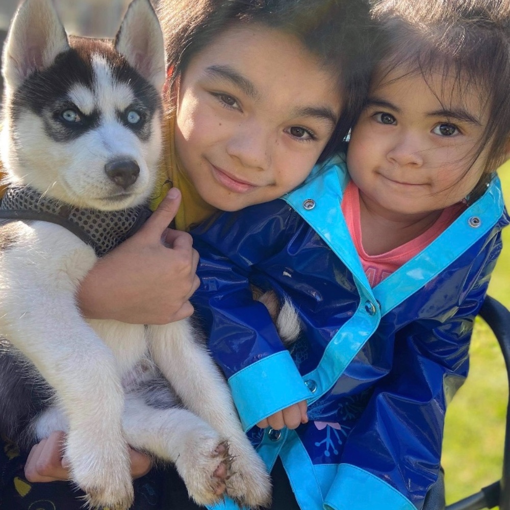 Meet your Posher, Isabel